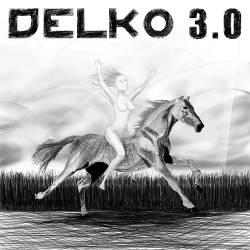 Delko : Delko 3.0